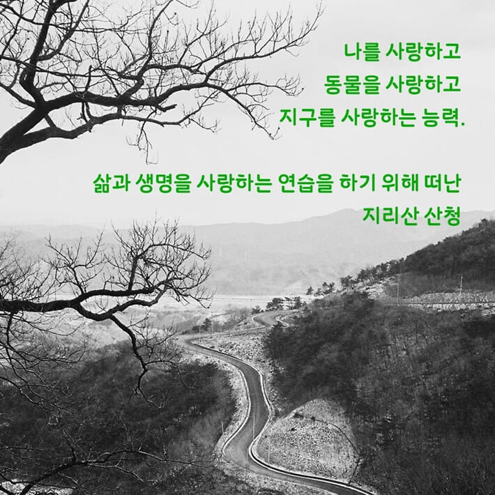 카드뉴스1