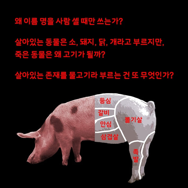 카드뉴스5