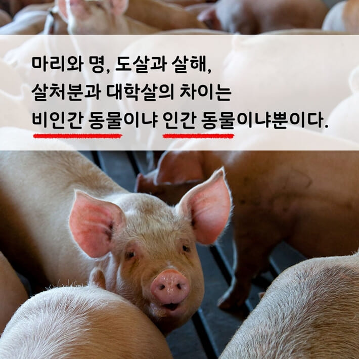카드뉴스6