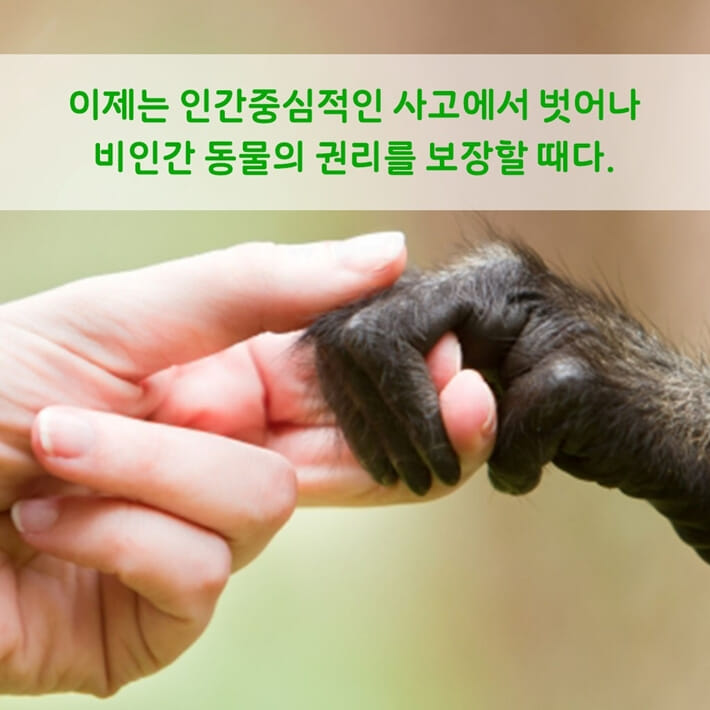 카드뉴스7