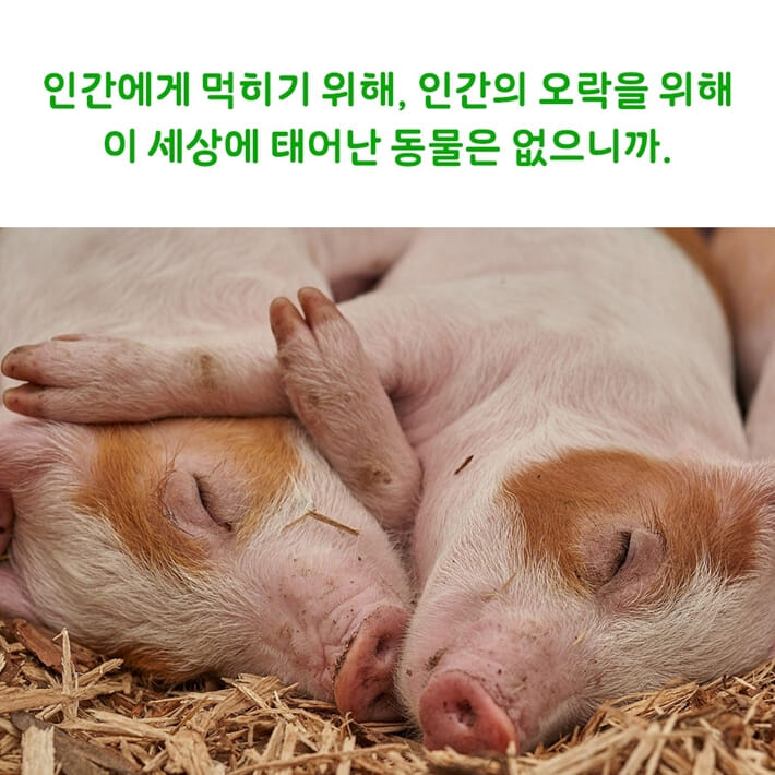카드뉴스8