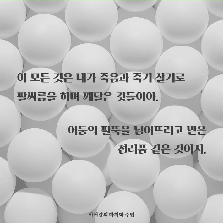 카드뉴스2
