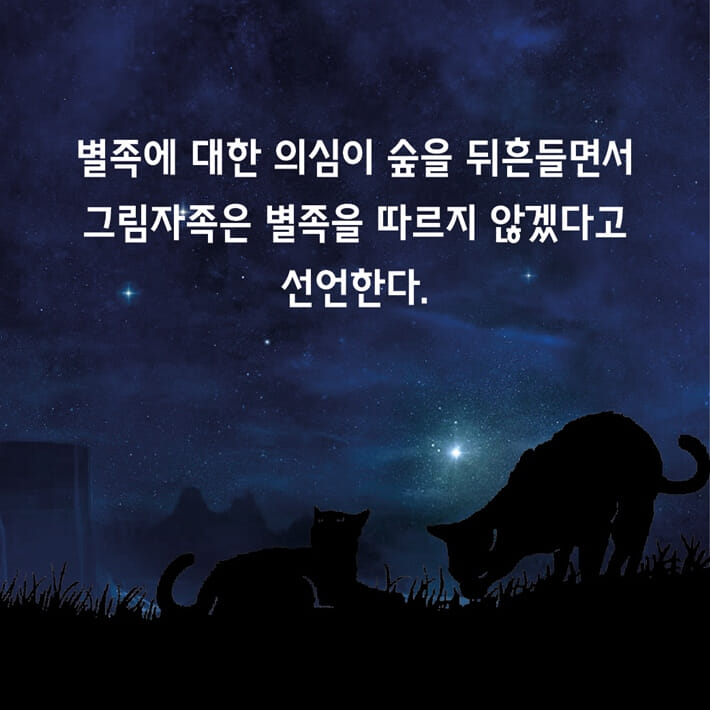 카드뉴스2