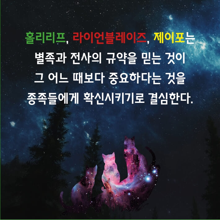카드뉴스3