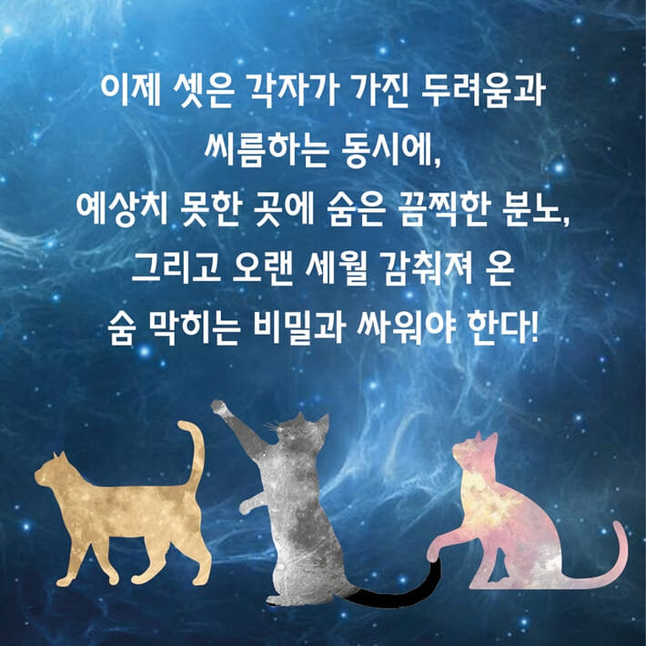카드뉴스4