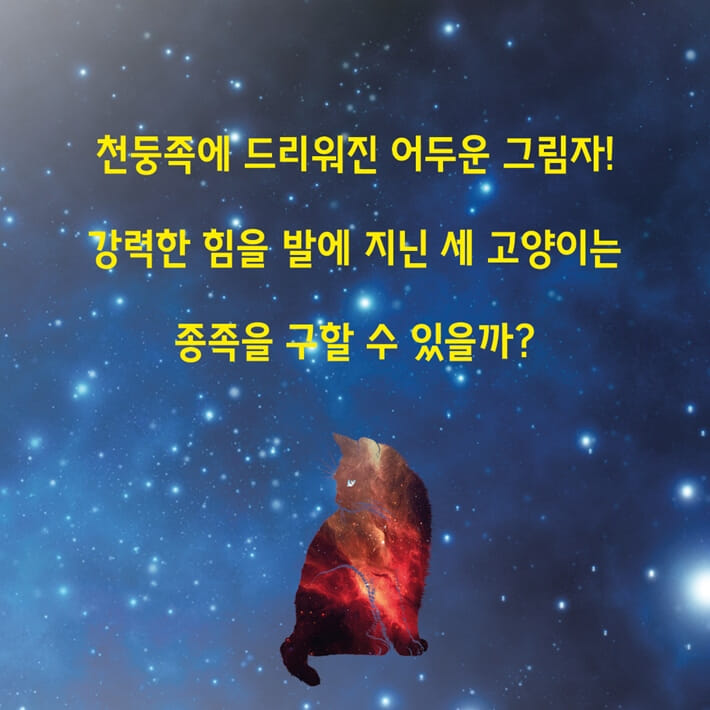 카드뉴스5
