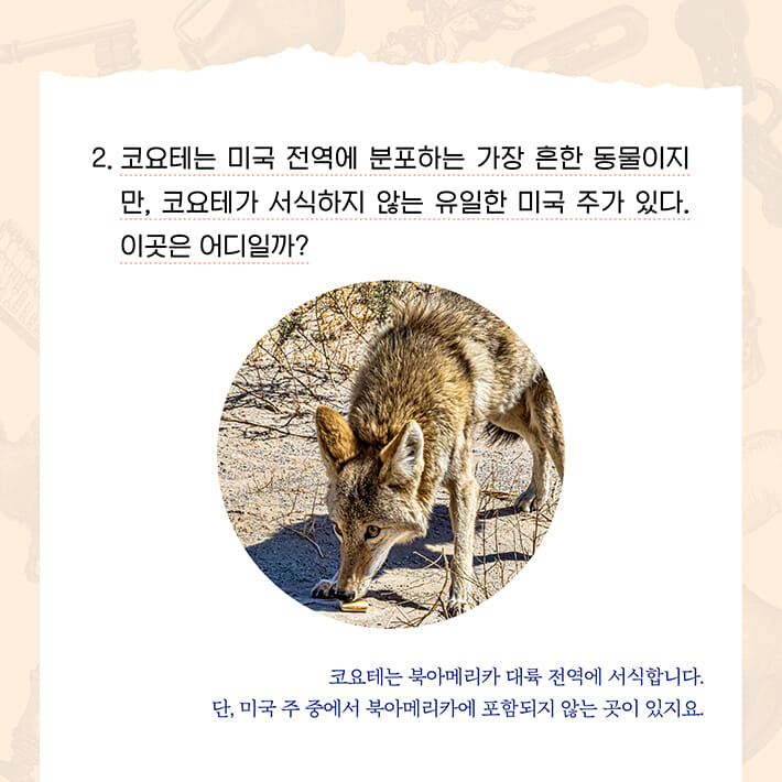 카드뉴스6