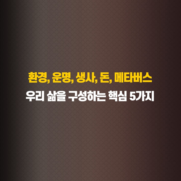 카드뉴스3