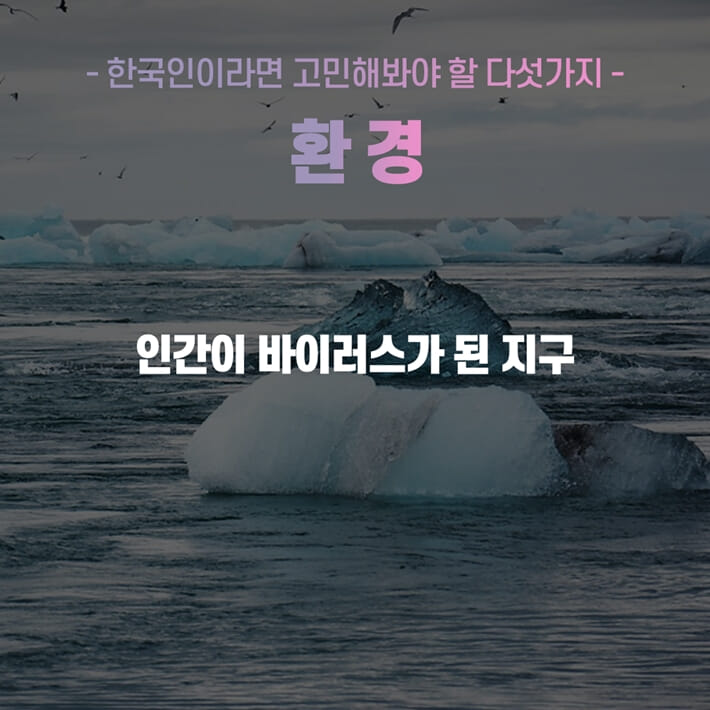카드뉴스4