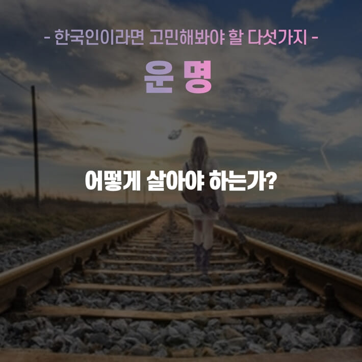 카드뉴스5