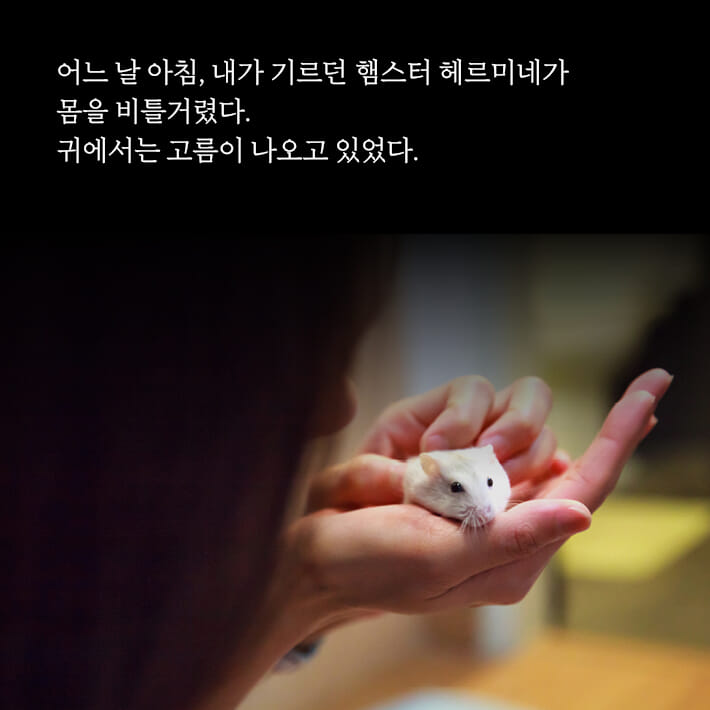 카드뉴스0