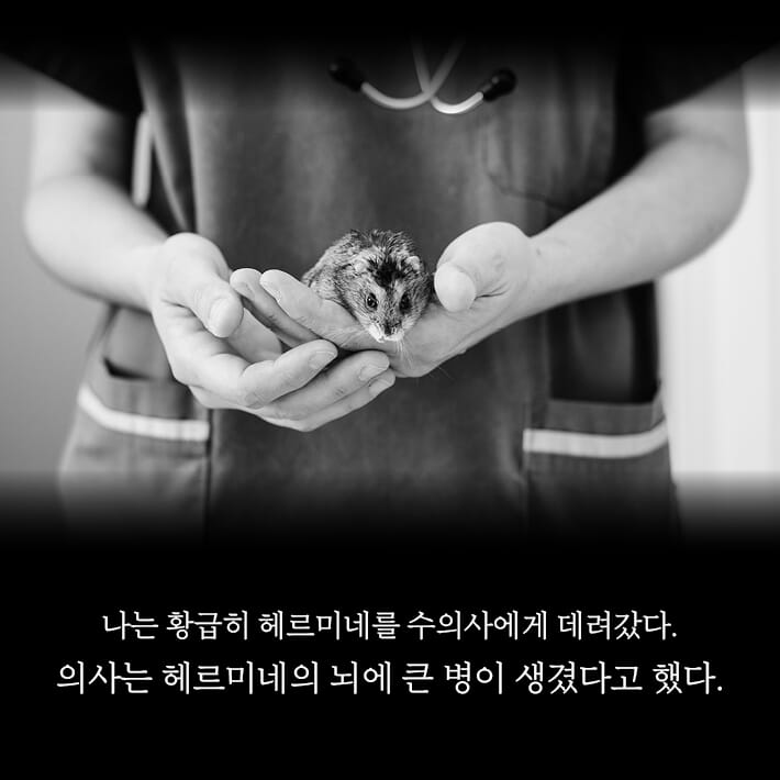 카드뉴스1