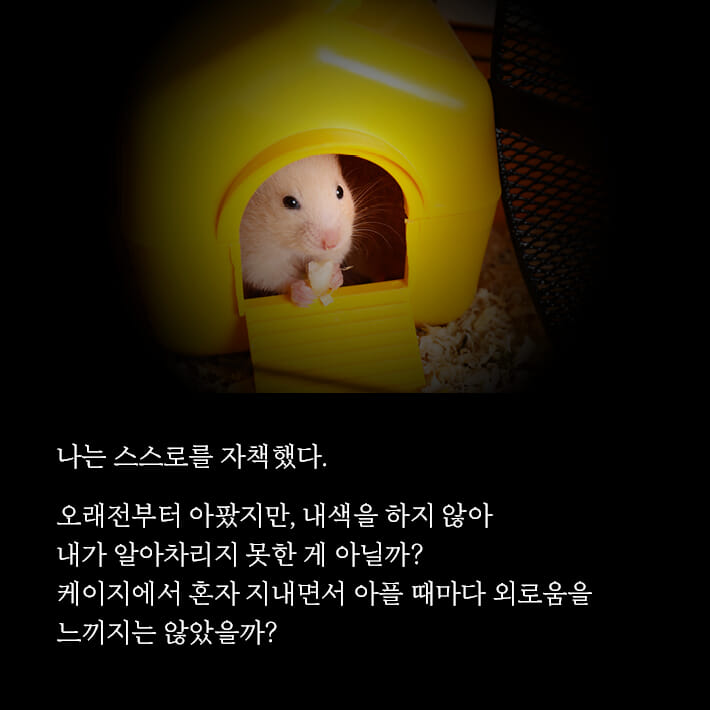 카드뉴스2
