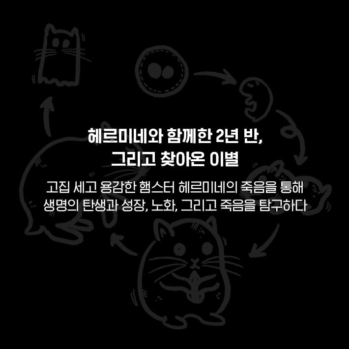 카드뉴스3