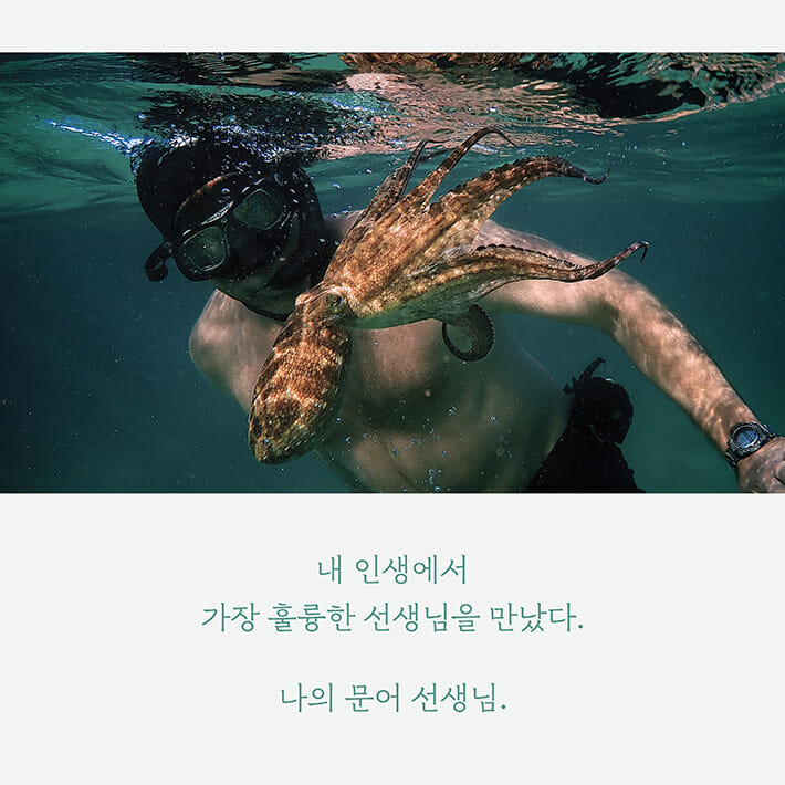 카드뉴스0