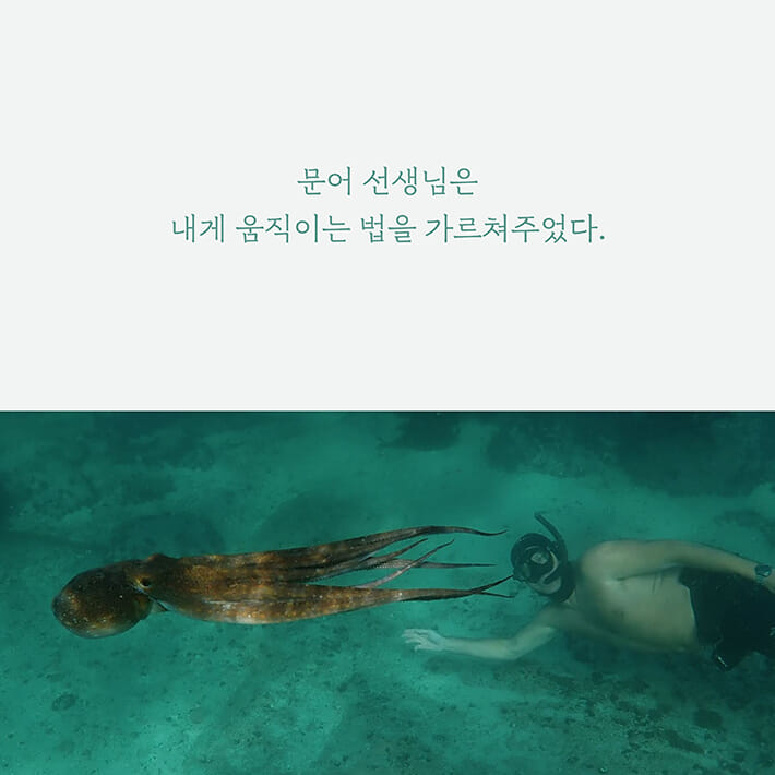 카드뉴스1