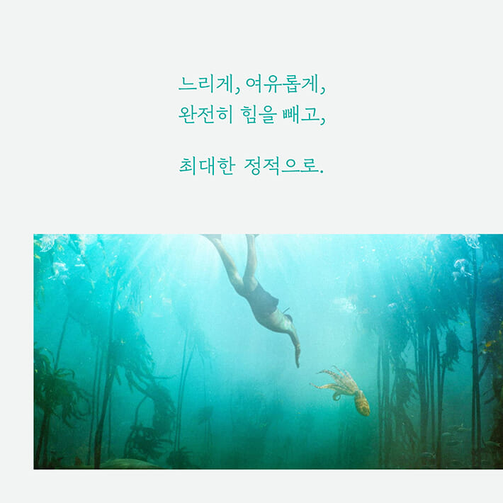 카드뉴스2