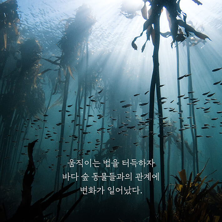 카드뉴스3