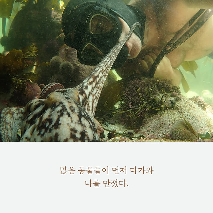 카드뉴스4