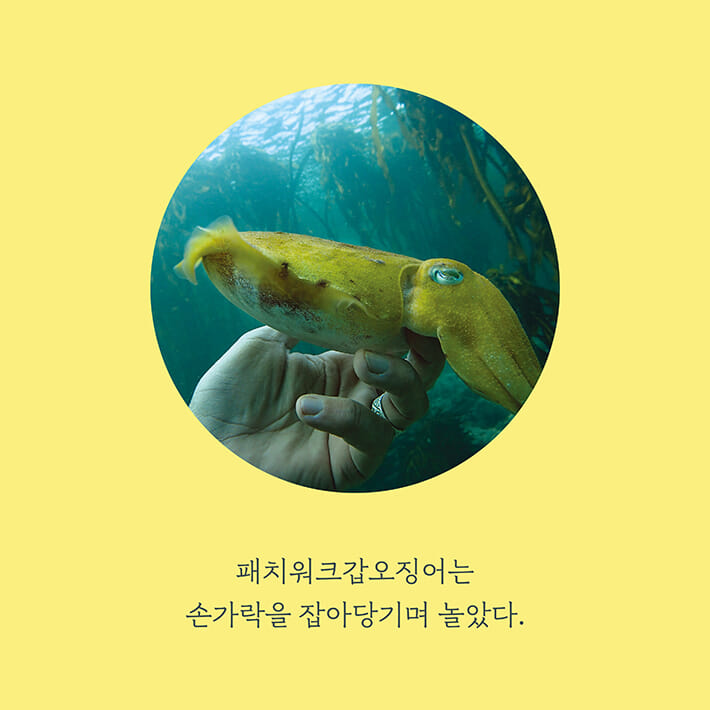 카드뉴스5