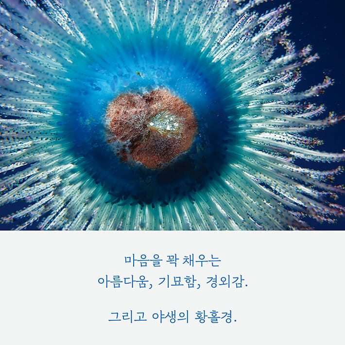 카드뉴스6