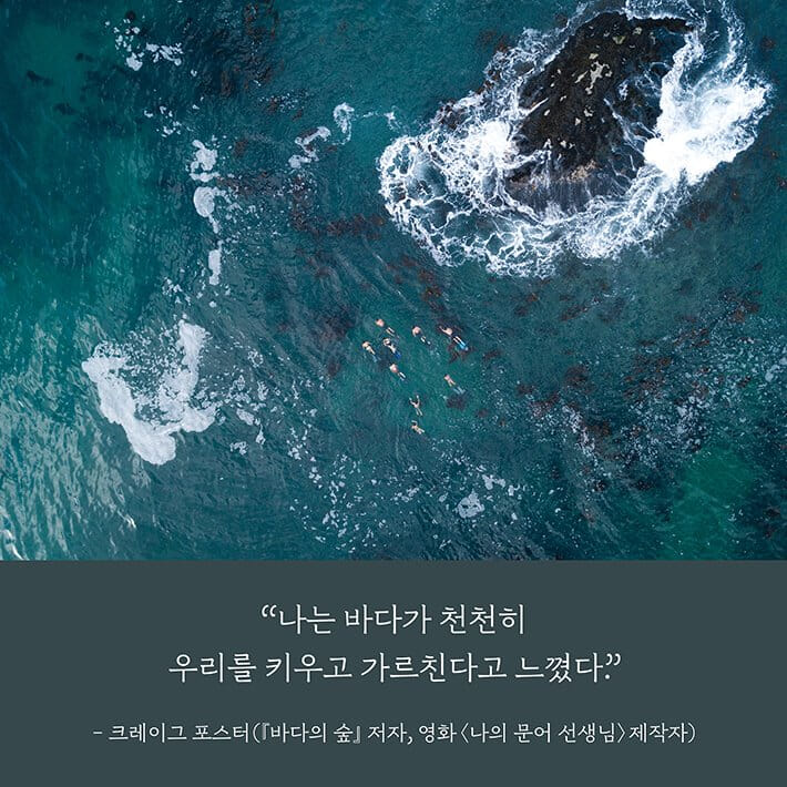 카드뉴스8
