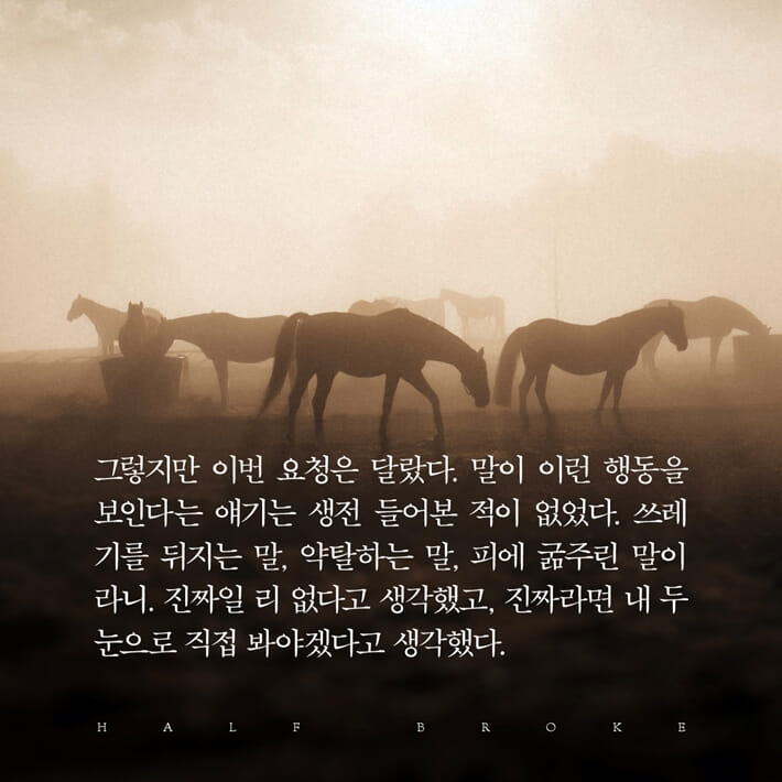 카드뉴스1