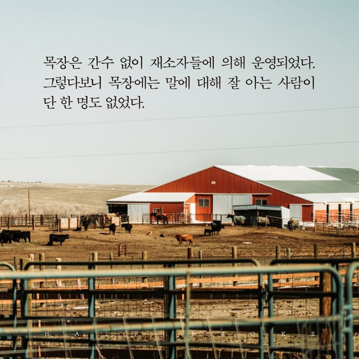 카드뉴스3