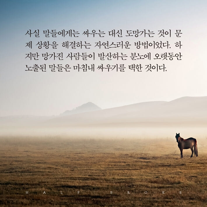 카드뉴스6