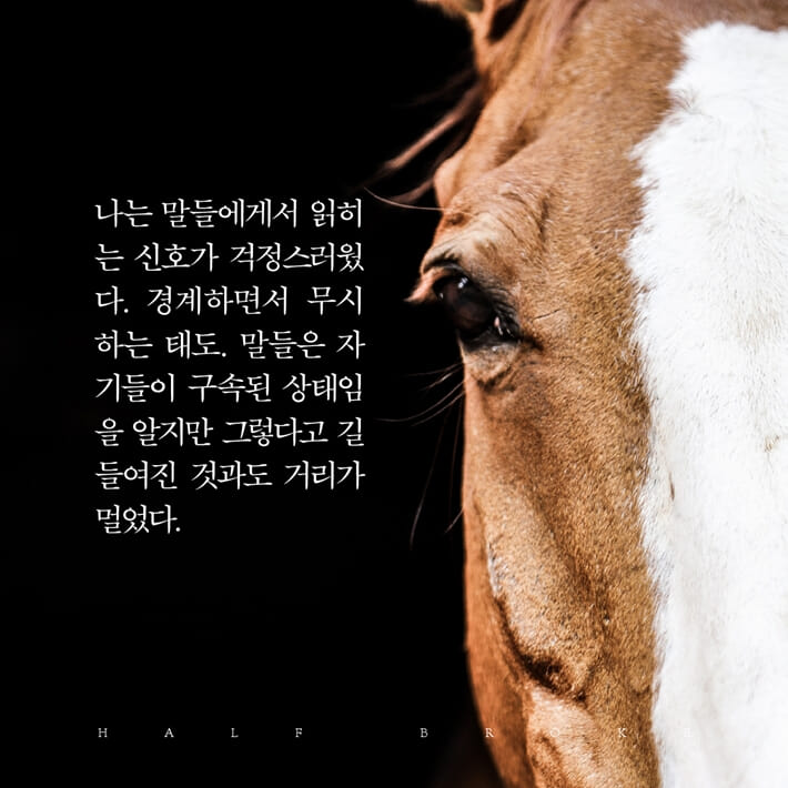 카드뉴스7