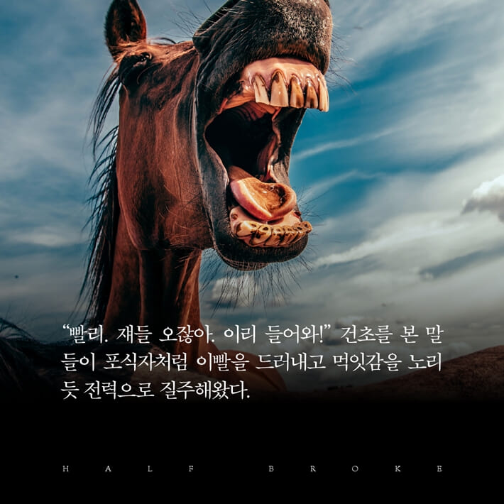 카드뉴스8