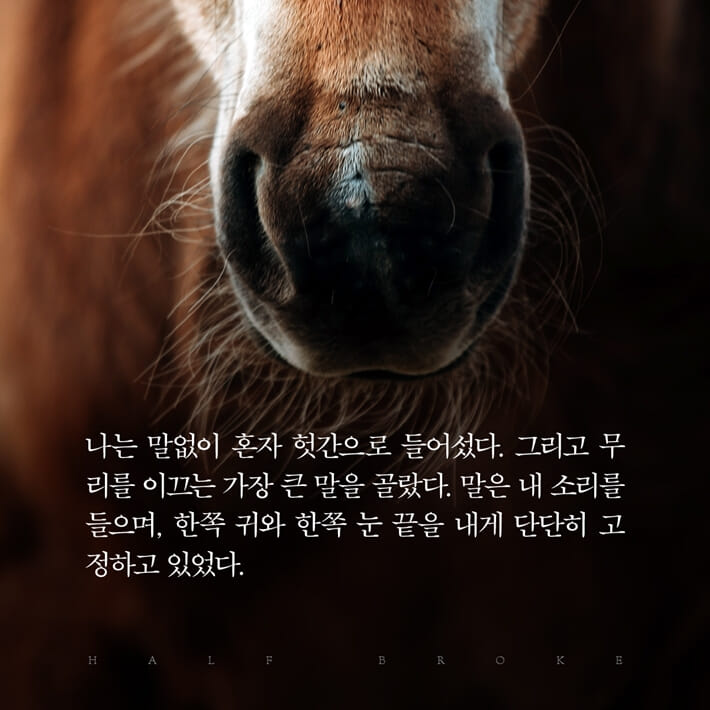 카드뉴스10