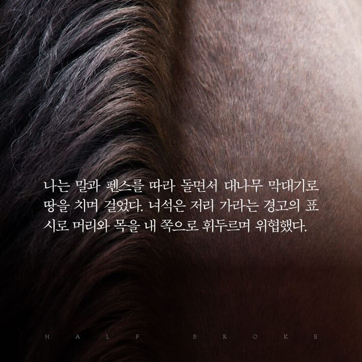 카드뉴스11