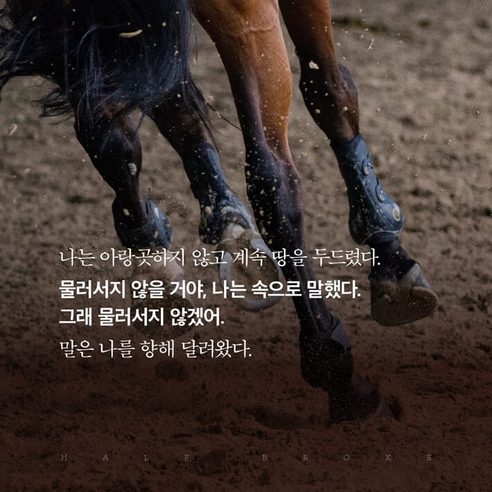 카드뉴스12