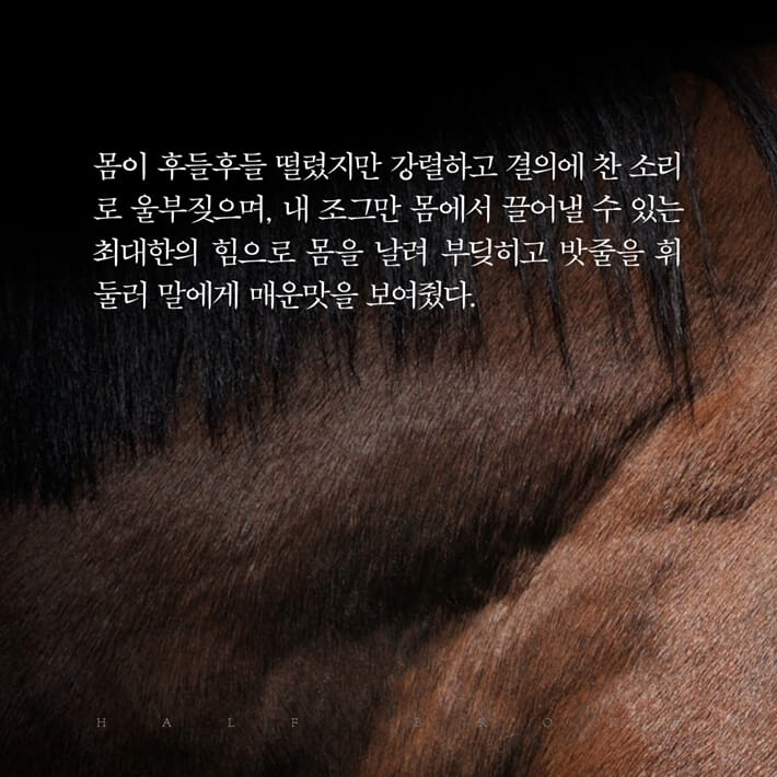 카드뉴스13
