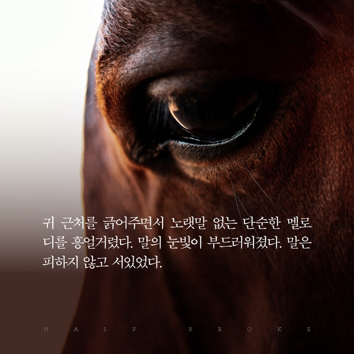 카드뉴스16