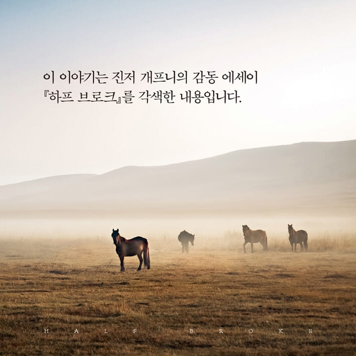 카드뉴스18