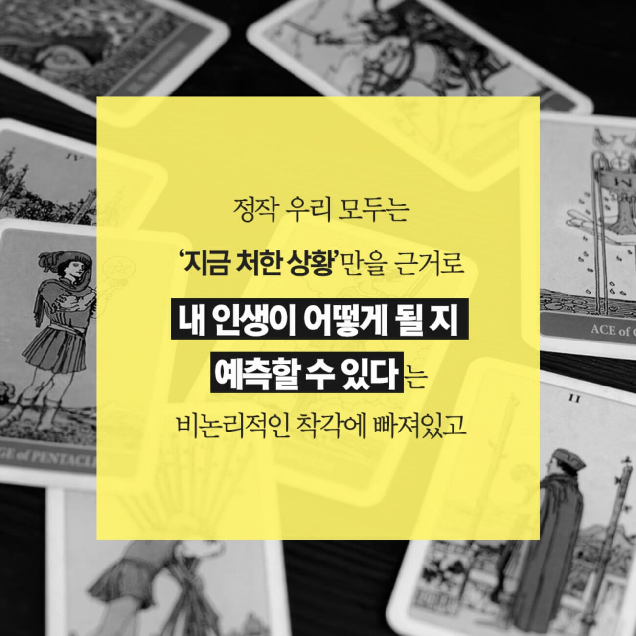 카드뉴스4