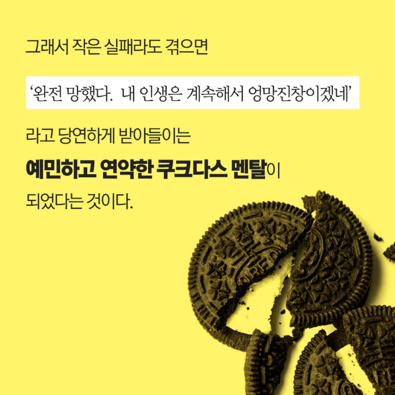 카드뉴스5