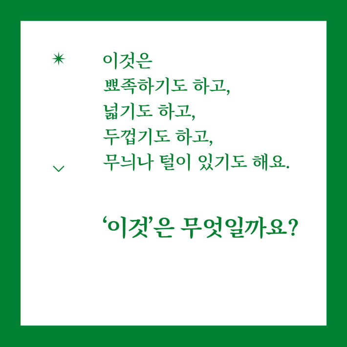 카드뉴스0