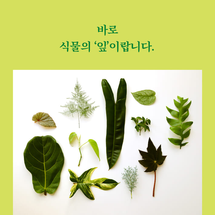 카드뉴스1