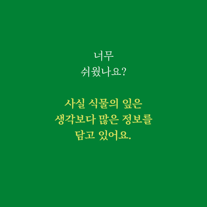 카드뉴스2