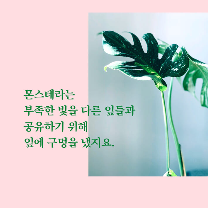 카드뉴스3