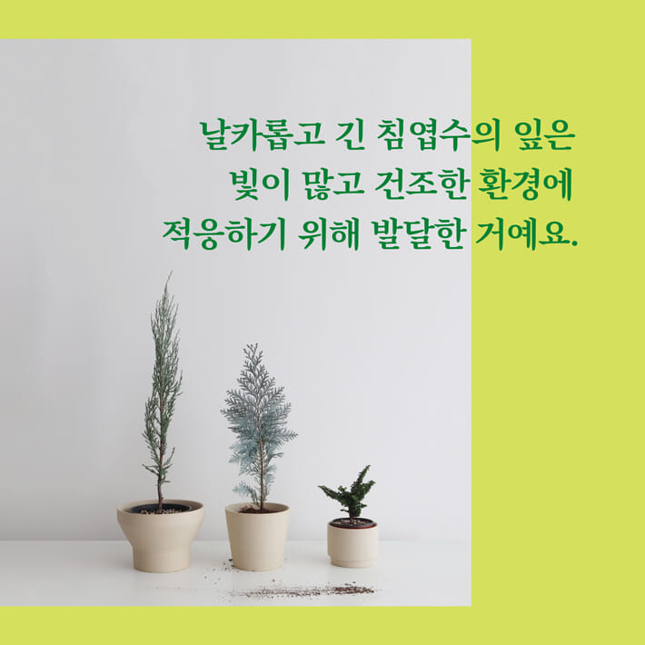 카드뉴스4