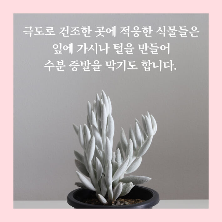 카드뉴스5