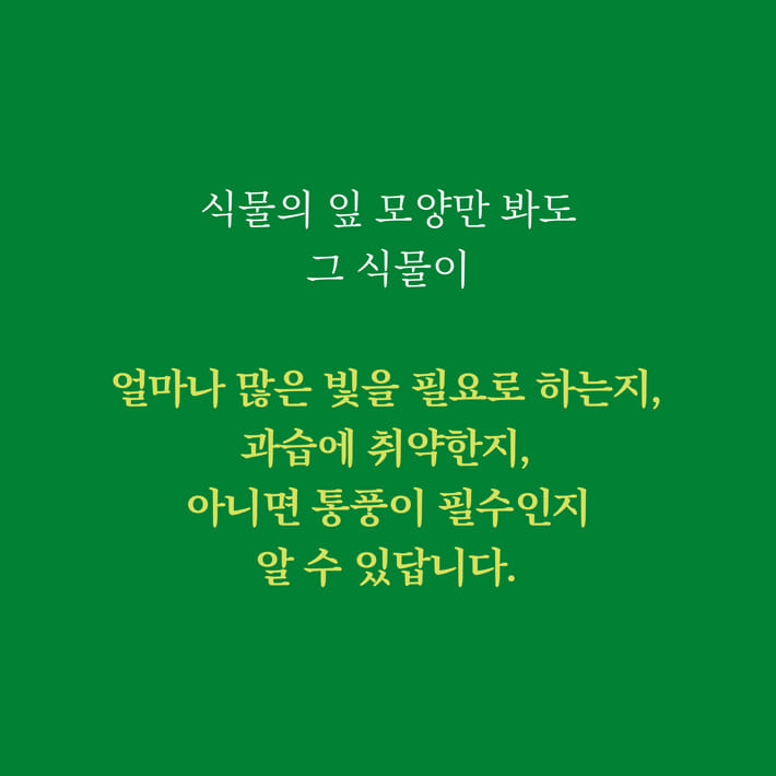 카드뉴스6