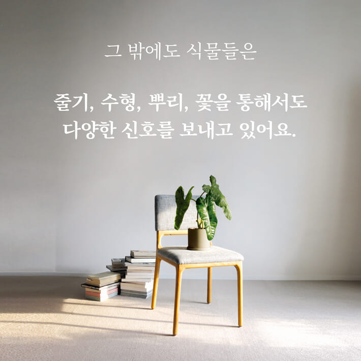 카드뉴스7
