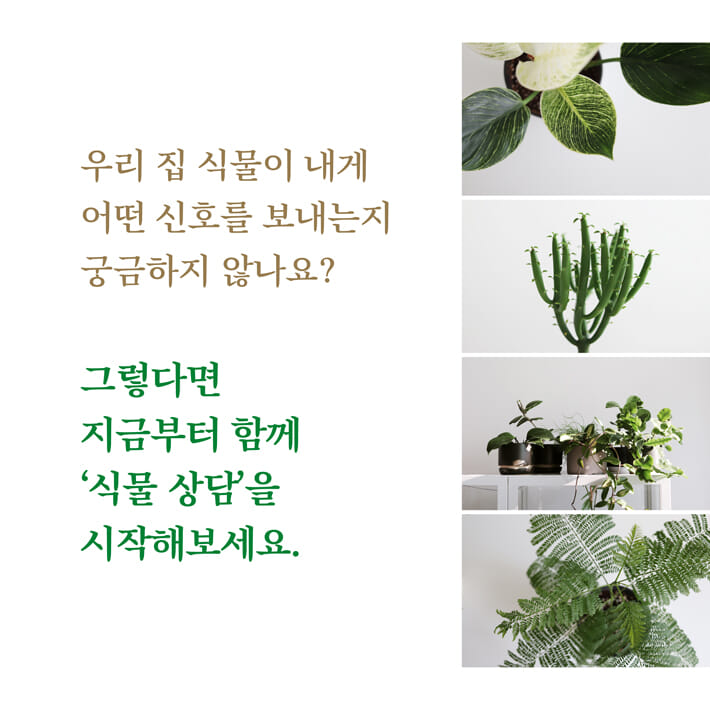 카드뉴스8