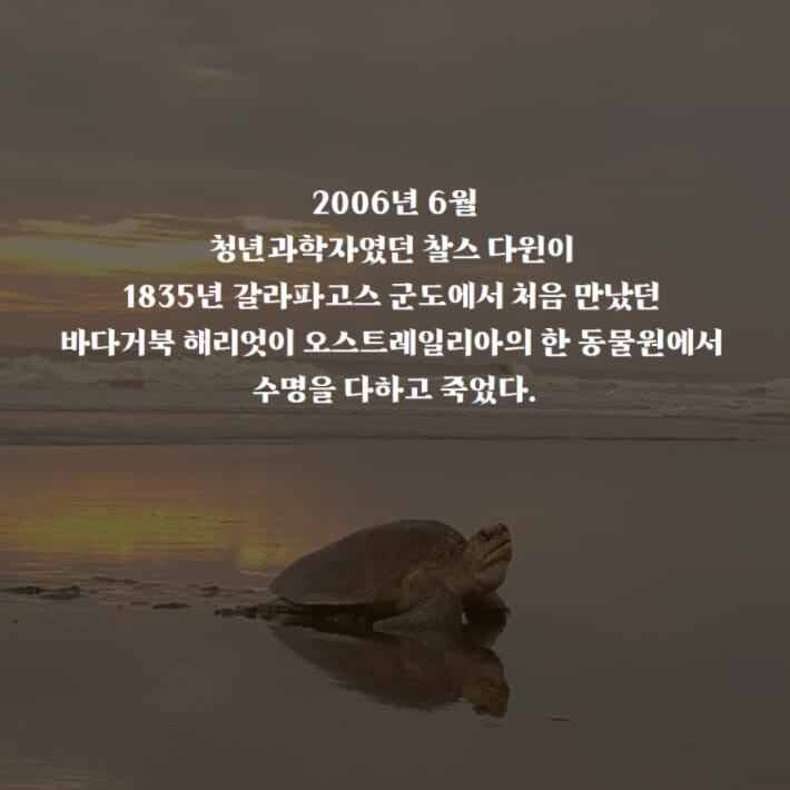 카드뉴스0