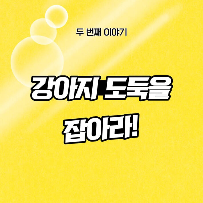 카드뉴스20
